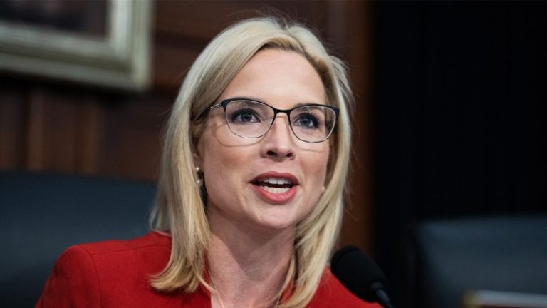 GOP lawmaker unveils bill to ensure fathers shoulder 50% of pregnancy expenses